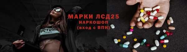 дживик Верхний Тагил