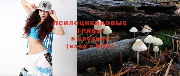 дживик Верхний Тагил