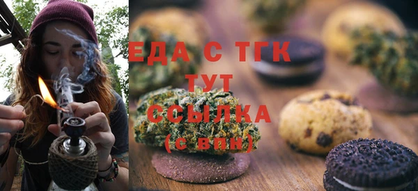 дживик Верхний Тагил