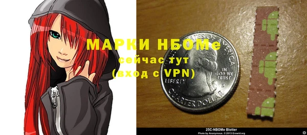 дживик Верхний Тагил