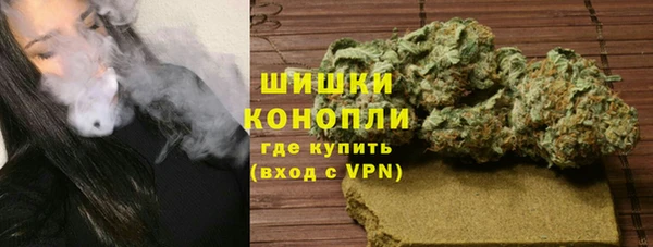 дживик Верхний Тагил