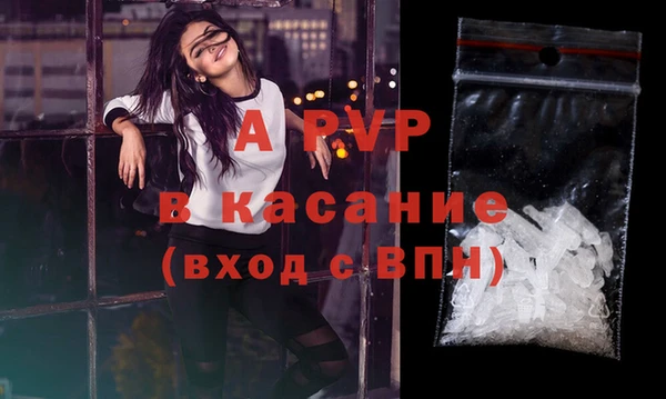 дживик Верхний Тагил