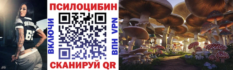 цена наркотик Хабаровск Галлюциногенные грибы мухоморы
